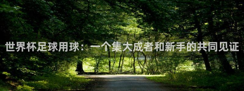2026世界杯亞洲預(yù)選賽賽程：世界杯足球用球：一個(gè)集大成者和新手的共同見(jiàn)證