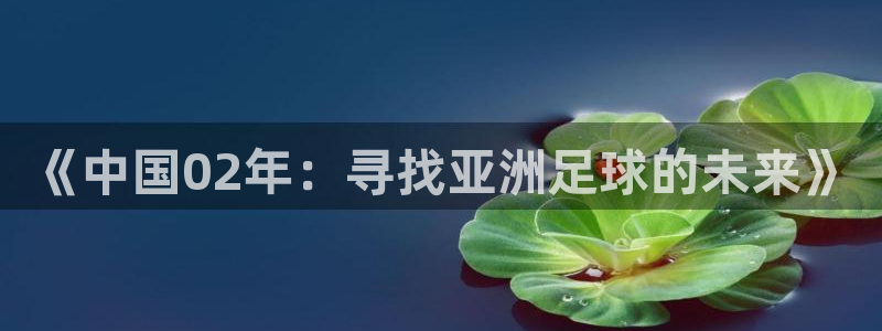 世界杯2026賽制：《中國(guó)02年：尋找亞洲足球的未來(lái)》