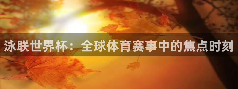 2026年世界杯直播平臺(tái)：泳聯(lián)世界杯：全球體育賽事中的焦點(diǎn)時(shí)刻