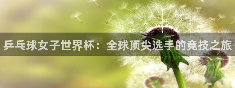 歐洲區(qū)世界杯預選賽：乒乓球女子世界杯：全球頂尖選手的競技之旅